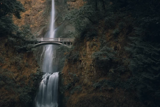 Unforgettable Adventures: Top Attractions and Activities in Grants Pass, Oregon